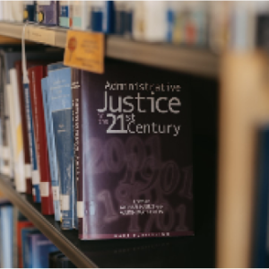 Convenios de la OIT y su Aplicación en Argentina